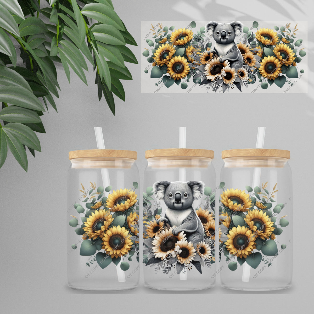 Koala Sunflower